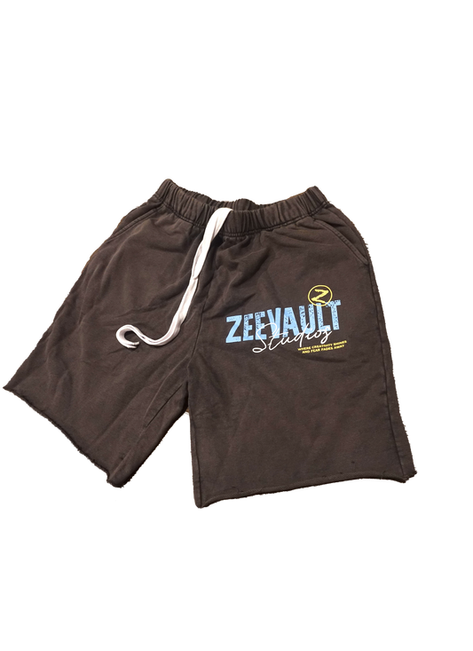 ZVLT Studios Shorts